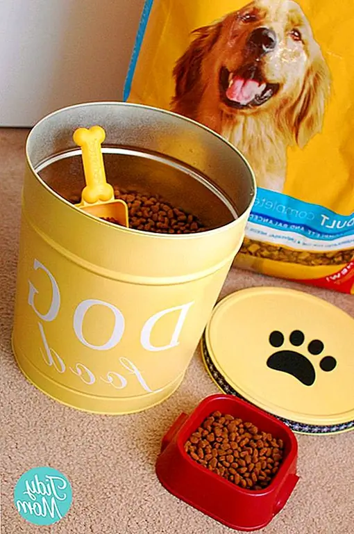 Удержание собаки в доме стильным и организованным