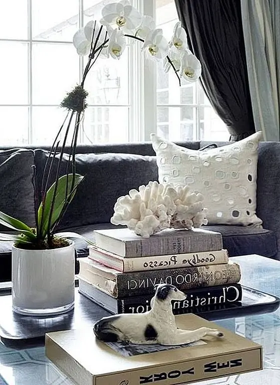 Не оставляйте кофейный столик пустым. Отобразите что-нибудь на нем. Это может быть горшечное растение, ваза с цветами, стопка книг или красивый коралл.