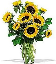 Композиции для летних цветов