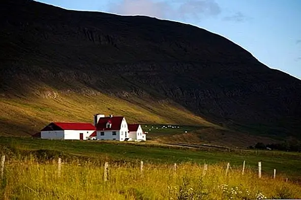 Норвежские фасады домов не отличаются по внешнему виду со многими, найденными в Новой Англии. Вертикальный и горизонтальный погодный посад можно найти по всему региону, создавая чистый и простой вид. Необычные элементы дизайна, как правило, сведены к минимуму со скандинавскими экстерьерами, однако некоторые детали обычно можно найти на входе. Яркие красные и желтые, наряду с традиционными белыми, часто выбираются для домашнего экстерьера скандинавами, особенно если они близки к побережью. В Исландии многие дома красиво окрашены.