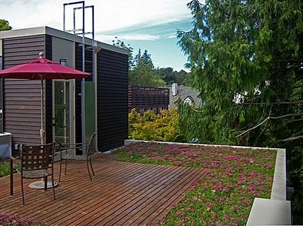 Вода хранится под землей зеленых крыш, а затем она забирается растениями и возвращается в атмосферу. Мало того, что они сохраняют дождевую воду, но они также смягчают температуру воды и действуют как фильтры.