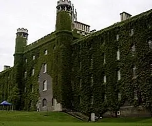 Назад к Зеленым - Преимущества Ivy Фасады