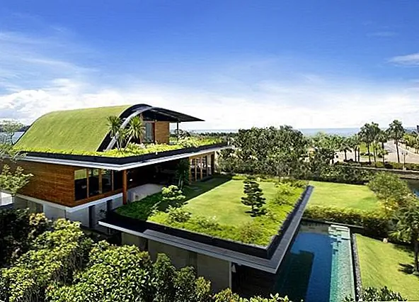 Но самое замечательное преимущество - тот факт, что зеленые крыши очищают воздух. Заводы поглощают загрязняющие вещества и превращают их в кислород, таким образом фильтруя ядовитые газы.