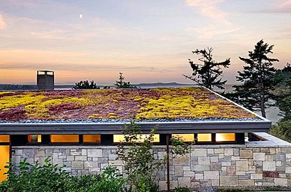 Итак, как вы можете видеть, на зеленую крышу больше, чем на эстетику. Конечно, тот факт, что он выглядит хорошо, также важен и может использоваться многими способами. Зеленые крыши привлекают насекомых и птиц, поэтому на крыше вы можете иметь бабочки и птичьи гнезда и приблизить к вам природу. Это очень освежает, чтобы иметь зеленую крышу в городской местности.