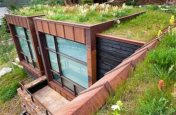 Существует много, что вы не знаете о зеленых крышах, поэтому полезно провести некоторые исследования. Изучите все варианты и будьте информированы. Если вы архитектор, дизайнер, инвестор, деловой человек, будущий владелец дома или просто любопытный человек, зеленые крыши - это вариант, который стоит посмотреть.