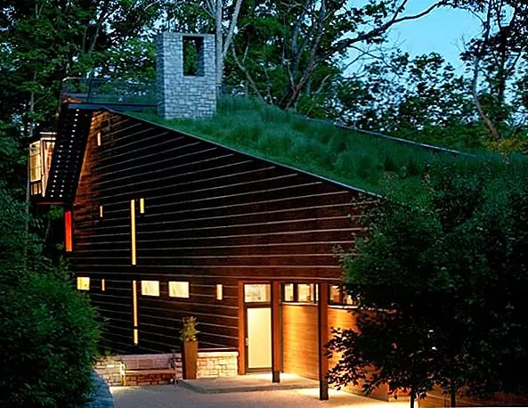 Преимущества наличия зеленой крыши