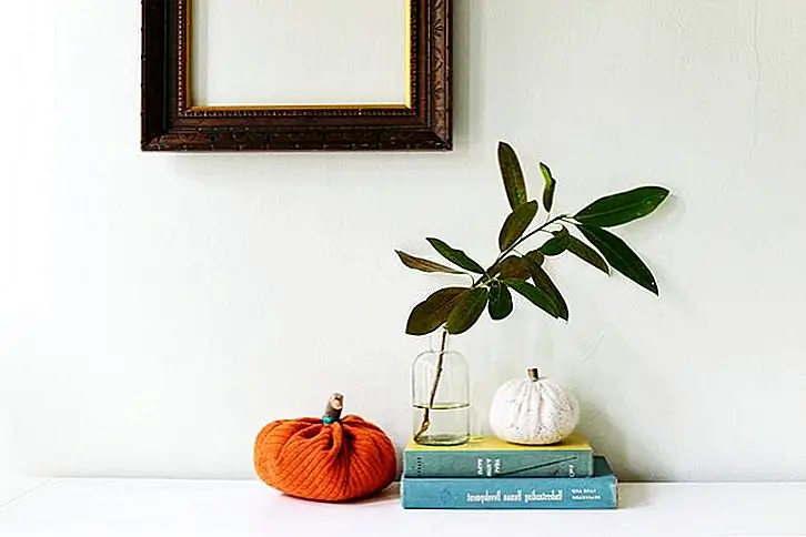 Способы использования тыкв в вашем центре