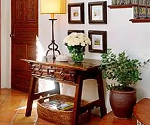 5 лучших цветов с лучшими значениями для вашего дома