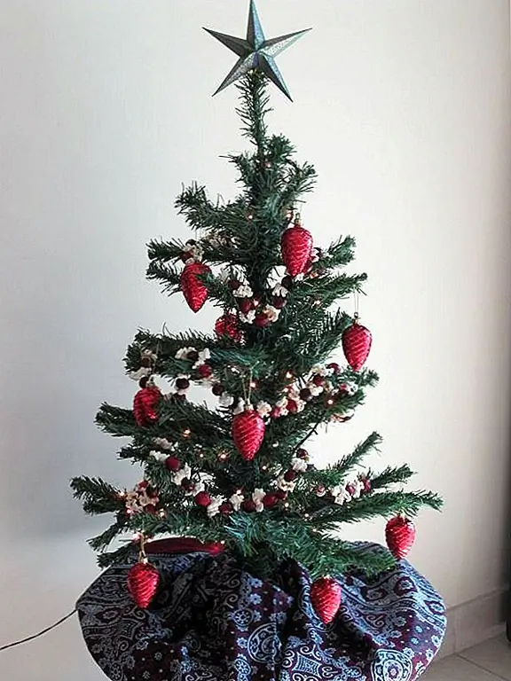 Маленькая и простая, хотя может быть, эта очаровательная традиционная рождественская елка с попкорном и клюквой, нанизанными на гирлянды, достаточно, чтобы согреть ваше сердце. Блестящие украшения с красной капелькой добавляют немного визуальной омры в это сладкое домашнее дерево. Или вы могли бы принести традиционный традиционный подход еще дальше, с высушенными апельсиновыми ломтиками и пряниками.