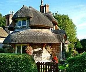 Расслабляющий летний сказочный дизайн