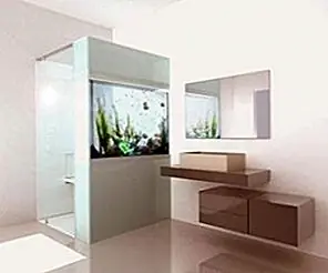 Привлекательный плано-аквариорий