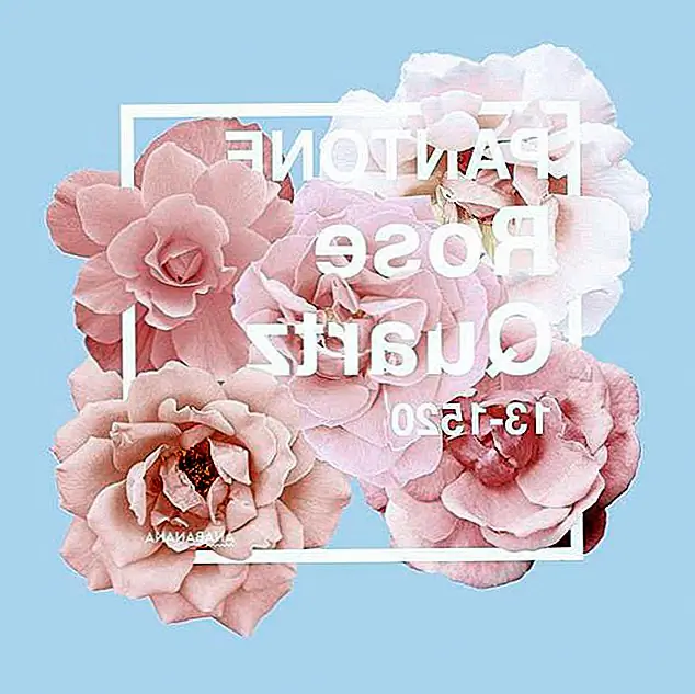 На данный момент Pink уже давно находится на сцене в домашнем декоре. Является ли poppin «горячим или мягким румянцем», он продолжает появляться на моей ленте Pinterest. Таким образом, выбор розового кварца Pantone делает его официальным. Кроме того, теперь у меня есть разрешение на покупку розового покрывала, потому что это цвет года! Проверьте эти 11 способов добавить розовый кварц в свой дом.