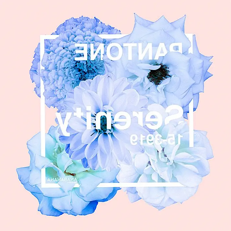 Но вы должны знать, что безмятежность не только для свадеб и государственных ярмарок. Есть всевозможные способы включить выбор Pantone в ваш домашний декор. Ознакомьтесь с этими 10 советами, чтобы добавить спокойствие в свой дом и, в конечном счете, добавить к вашему отдыху.