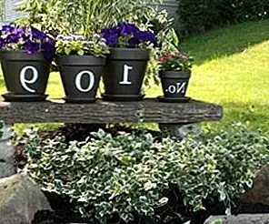 Роскошные дома DIY House Цветочные горшки