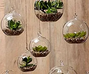 7 стильных способов использования внутренних растений в декоре вашего дома