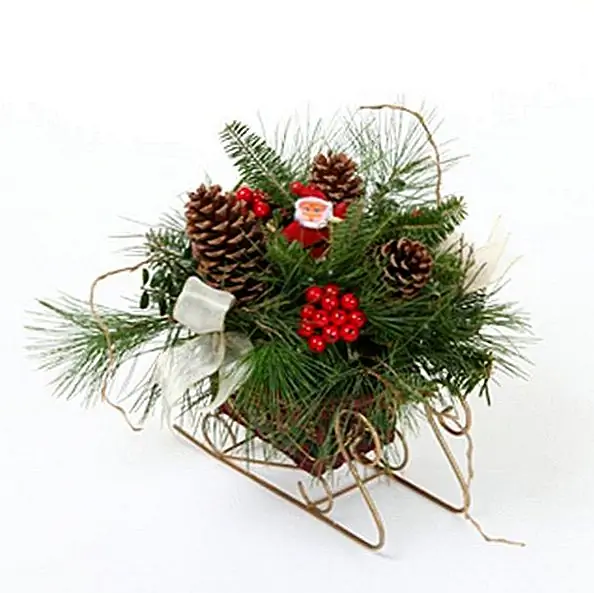 Санта-сани Свежий гора Вечнозеленый праздник