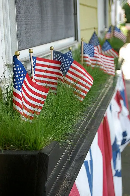 Украсьте снаружи своего дома. Если у вас есть окно, то проще всего добавить несколько небольших флагов и, возможно, повесить большой снизу. Это то, что вы можете сделать всего за несколько минут.