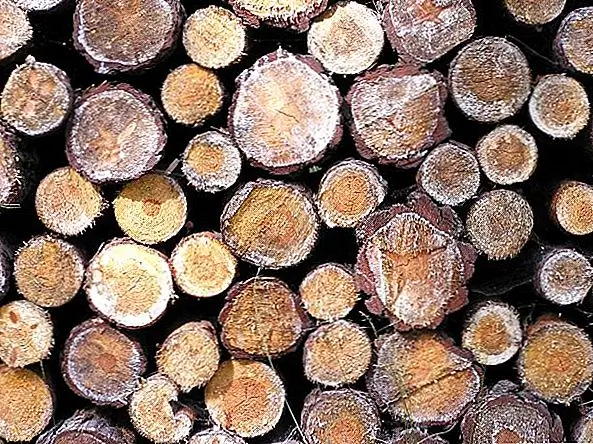 Устойчивость Solid Wood