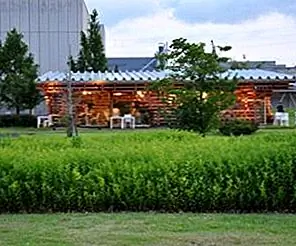 Café Kureon Design от Kengo Kuma и Associates