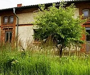 Старый фермерский дом восстановлен фотографом Кэролайн Оттени