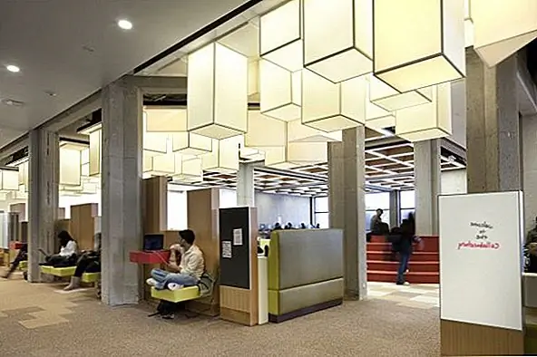 Внутренняя структура и дизайн были не единственными изменениями. Атмосфера также совершенно новая. Фактически, архитекторы больше ориентировались на изменение атмосферы, а не на архитектуру. Теперь библиотека имеет гибридный интерьер с различными неформальными и учебными помещениями. Команда использовала смелые цвета для интерьера, а также геометрические фигуры и узоры. Сейчас библиотека современна и чувствует себя свежей и расслабленной. Это было очень продуктивное изменение, которое, как большинство из нас оценили, у студентов, которые теперь имеют возможность учиться и взаимодействовать, работать над проектами и сотрудничать.