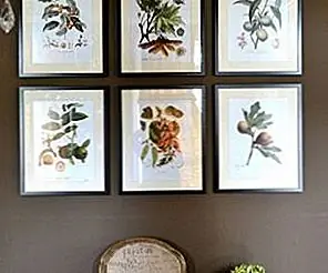 Ботанические принты, пролитые вокруг дома