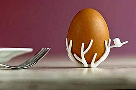 Теперь он доступен в белом, черном, красном и индиго, и я думаю, что он выглядит великолепно, независимо от того, какой цвет вы выберете. Внимание ваших детей будет отвлекаться от пищи, и они будут наслаждаться ею как игрушкой и спокойно съесть яйцо, поэтому миссия выполнена.