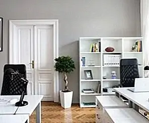 Украшение черно-белого офиса: идеи и вдохновение