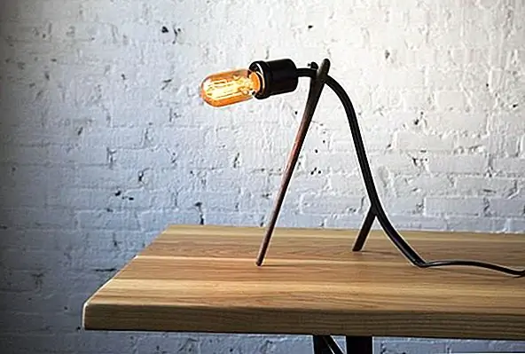 Эта минималистская настольная лампа была вдохновлена природой. Созданный дизайнером Петром Ен Фа, лампа является уникальным экземпляром, потому что это простой держатель для тикового дерева.