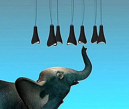 Подвесная подвесная лампа выполнена из хрома, металла, стекла и светодиода. Сходство между формой этого светильника и стволом слона определенно дает ему преимущество. Тем не менее, это коллекция привлекательных деталей в целом, которые впечатляют нас, а не форму в одиночку. Это тип светильника, который вы можете использовать на кухне, в столовой или даже в ванной комнате. Это был бы очень приятный акцент и фокус для минималистского декора.