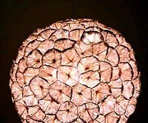 Рододендронная люстра