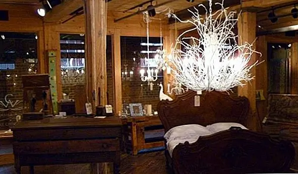 Белая ветка филиала Hickory