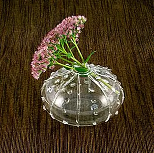 Морская урчинская ваза