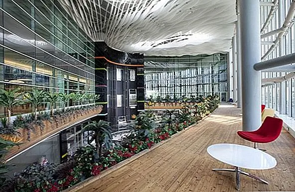 Рабочее пространство занимает не более 225 мест и заполняет чуть больше половины места. Это очень счастливое место, из-за потолка и ковра, которые имеют пятна цвета.