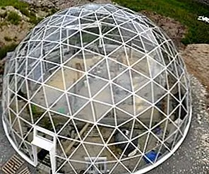 Что делает Home Green - Экологичные советы