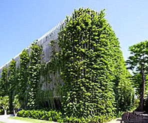 Великие мировые структуры с зелеными фасадами и вертикальными садами