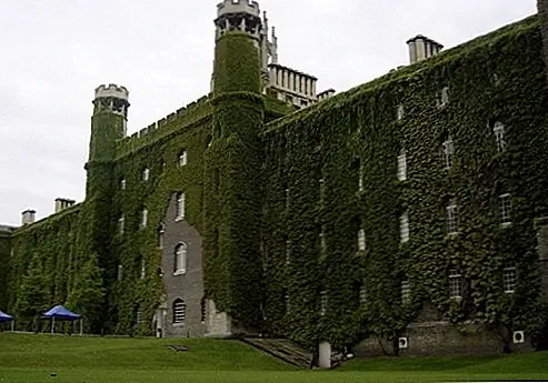 Назад к Зеленым - Преимущества Ivy Фасады