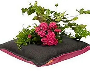 Свежие крытые подушки для растений из Sudio Libel