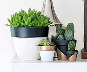 Современные мини-окрашенные растительные горшки