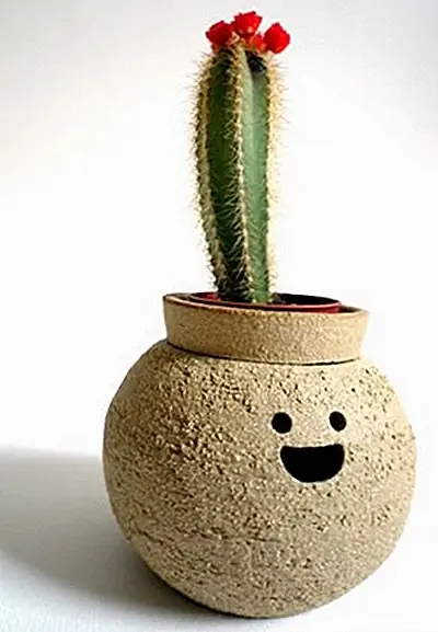 В любом случае, вы просто не можете не улыбаться, когда видите смешное лицо с круглыми глазами, выражение удивления на лице и высокие зеленые волосы с красным цветком сверху. Проверьте все фотографии на официальной веб-странице дизайнера.