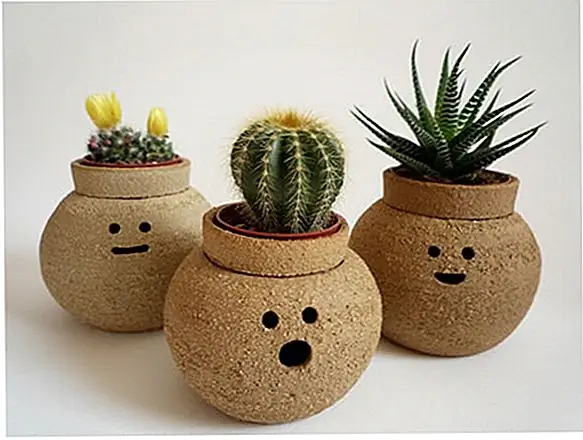 Волосатые детки - Забавные керамические растения