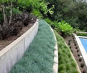 Вдохновение ландшафтного дизайна для холмистого сада