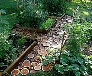 Прекрасные садовые дорожки из деревянных плит