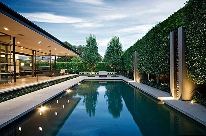 После того, как вы выкопаете траншею, коснитесь кустов около 12 дюймов и доведите почву до ветвящегося ствола. В течение первого года частная изгородь нуждается в многовато и много воды, чтобы стать пышной и здоровой. {Найден на анстоне}.