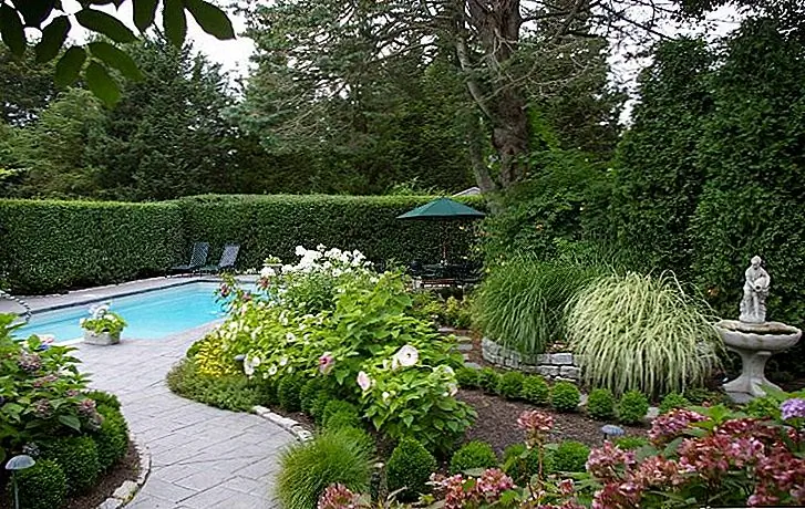 Чтобы получить более толстую частную изгородь, посадите два ряда кустарников вместо одного. Конечно, это означает большую траншею. Поместите кусты в узор зигзагообразно, чтобы они расти вместе, не конкурируя друг с другом за солнечный свет или питательные вещества.