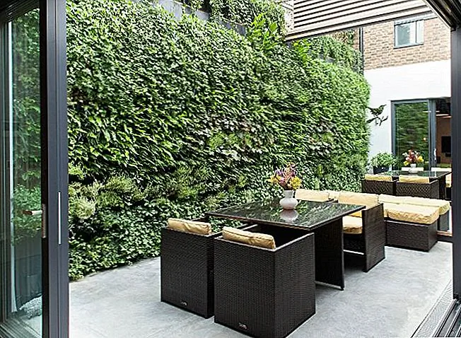 Чтобы поддерживать плотность вашей живой изгороди, обрезайте ее до более узкого, сверху и шире внизу. Эта коническая форма позволит солнечному свету достигать нижних листьев, чтобы они не мучились и не погибали, в результате чего кусты были менее плотными.