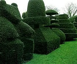 15 способов обрезать хедж в вашем дворе