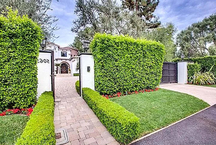 Как украсить и ухаживать за чистым хеджем