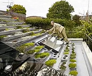 Дом, который имеет весь сад на крыше