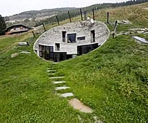 Необычные границы для авантюрных ландшафтных дизайнов